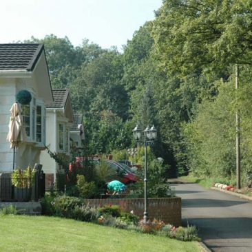 oak-tree-park
