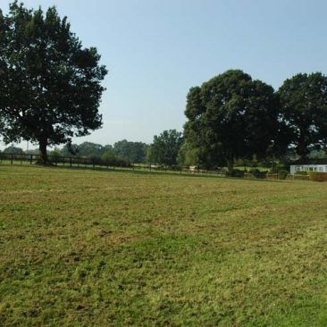 dells-farm-park