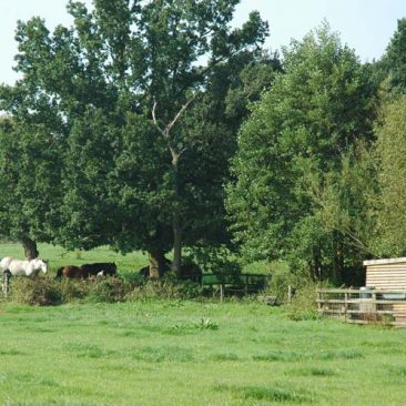dells-farm-park