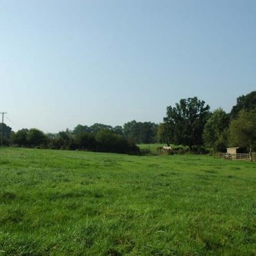 dells-farm-park