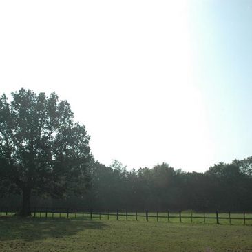 dells-farm-park